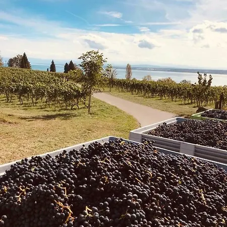 Charmantes Loft Mit Ganz Besonderem Flair * Фридрихсхафен